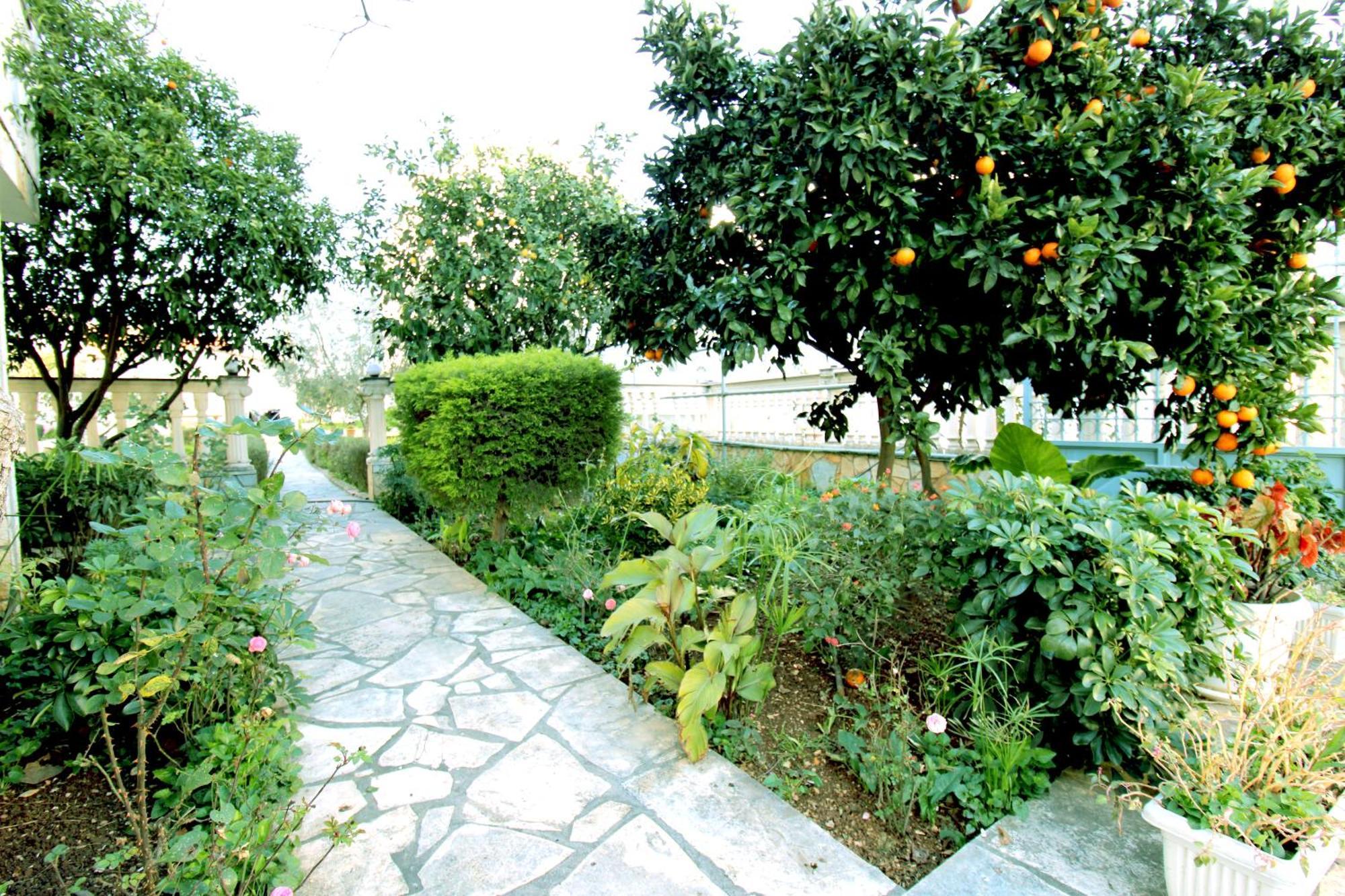 Garden Villa Dhesara Εξαμίλιο Εξωτερικό φωτογραφία